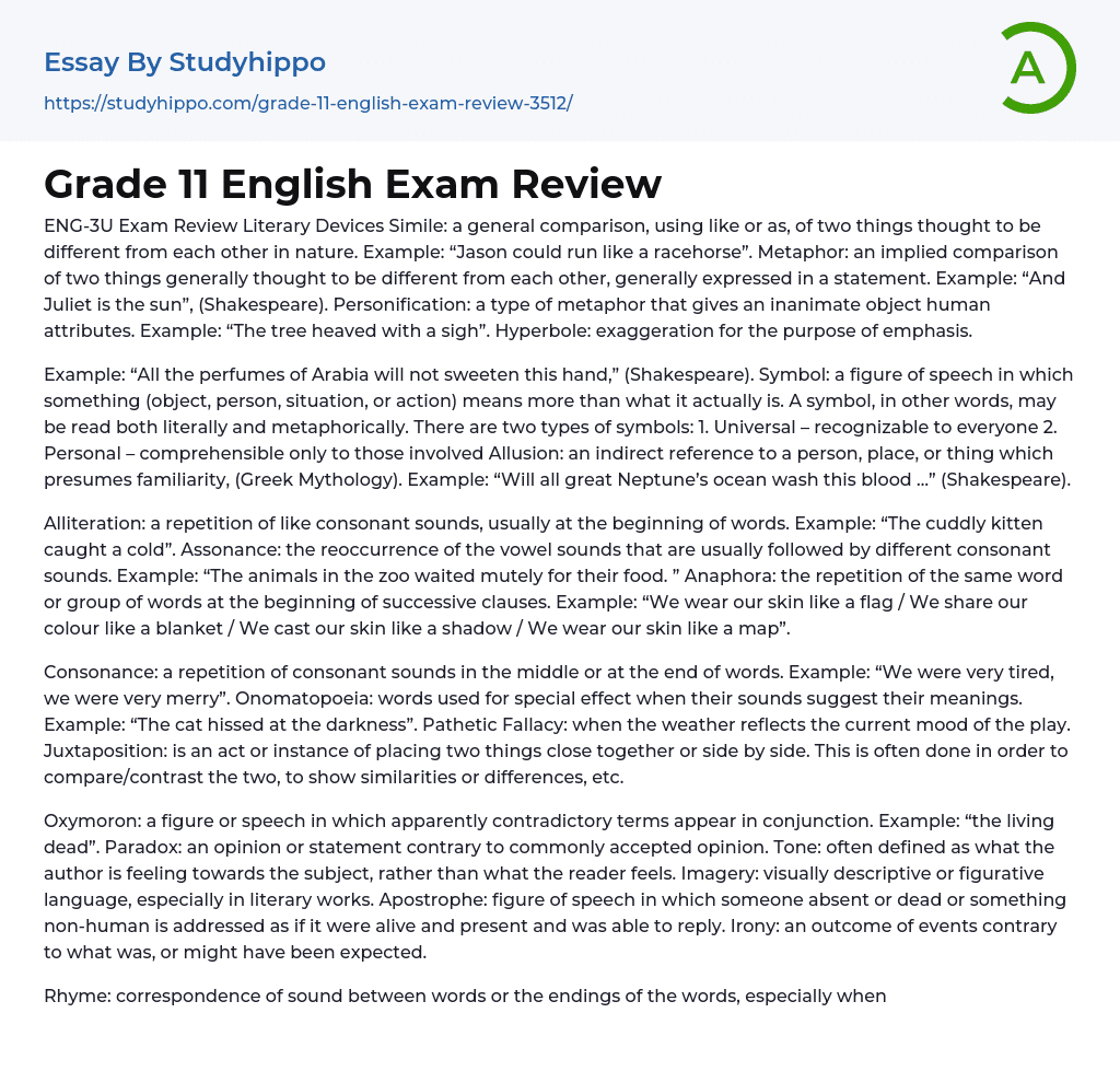 Grade 11 English Exam Review Essay Example