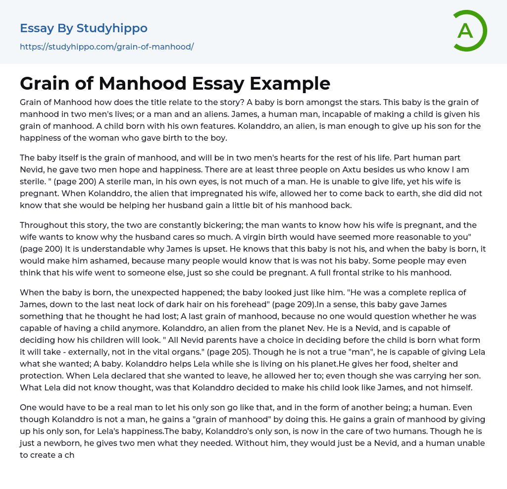 Grain of Manhood Essay Example