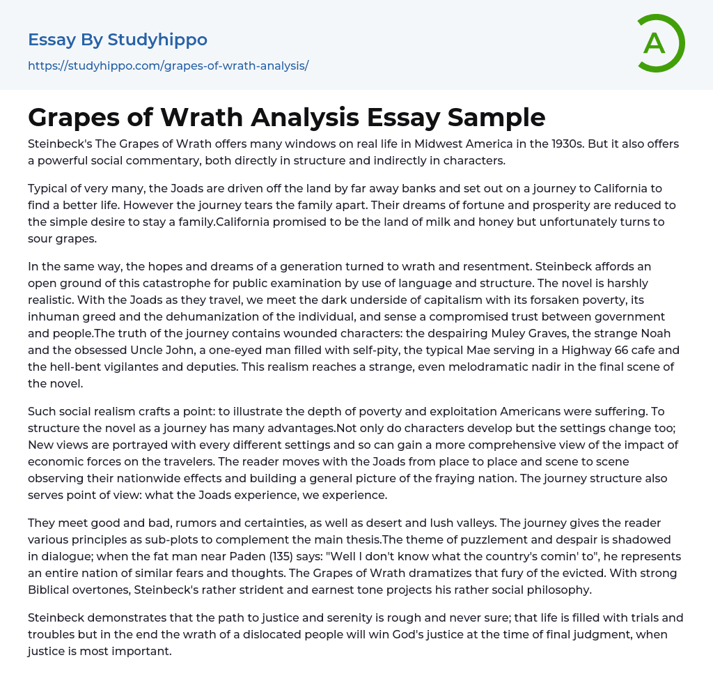 Grapes of Wrath Analysis Essay Sample