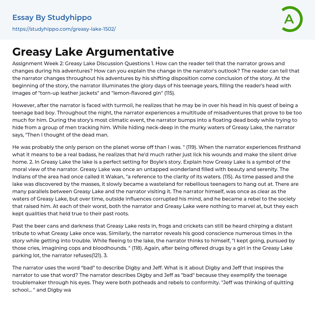 Greasy Lake Argumentative Essay Example
