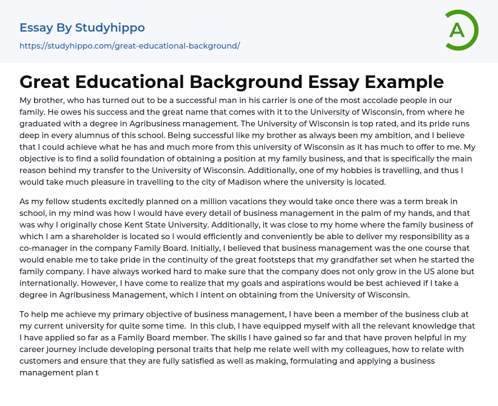 Great Educational Background Essay Example