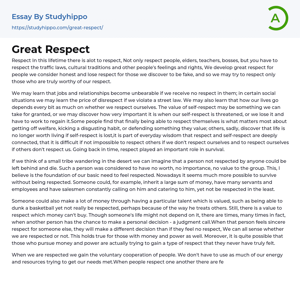 Great Respect Essay Example