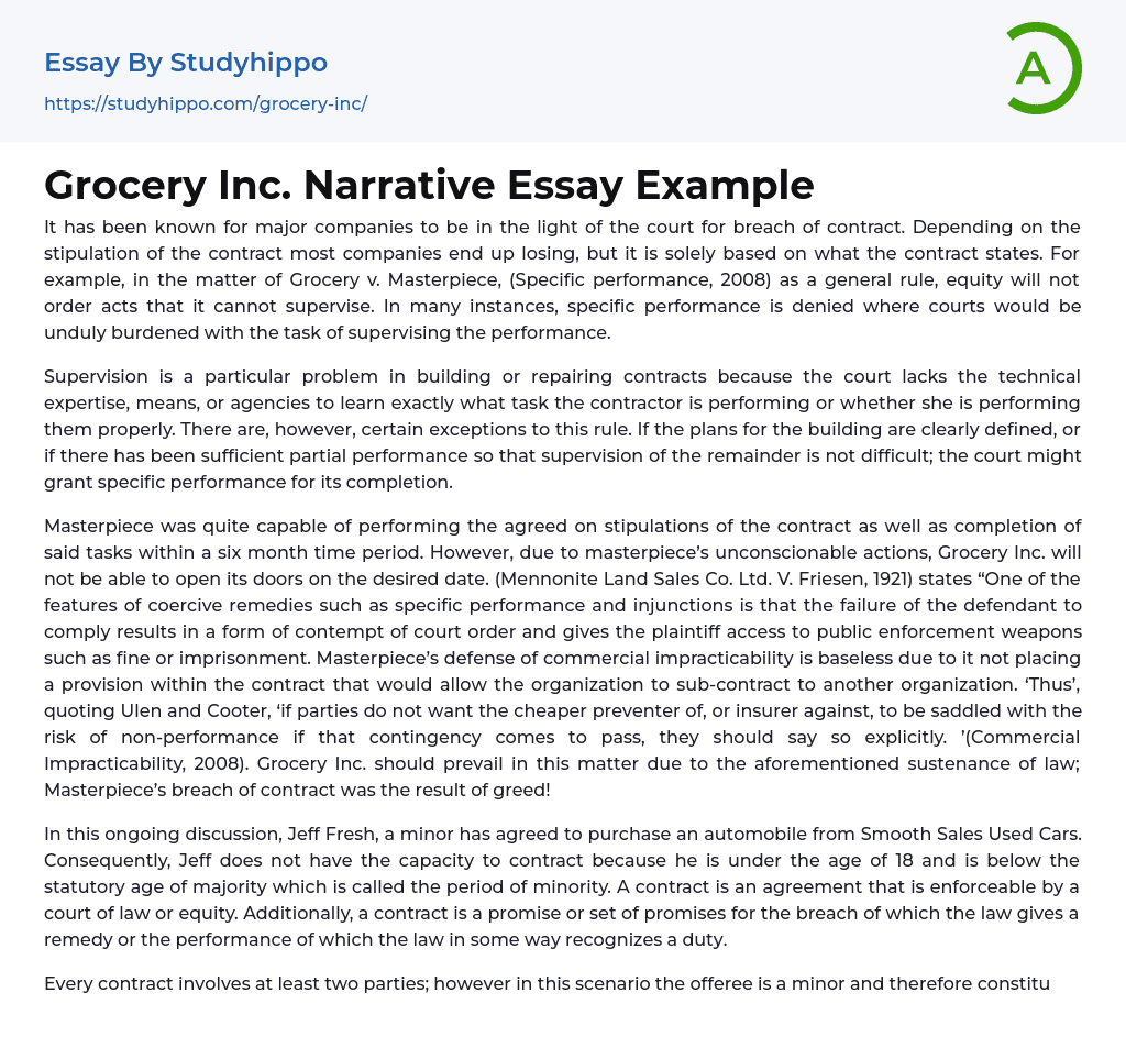 Grocery Inc. Narrative Essay Example