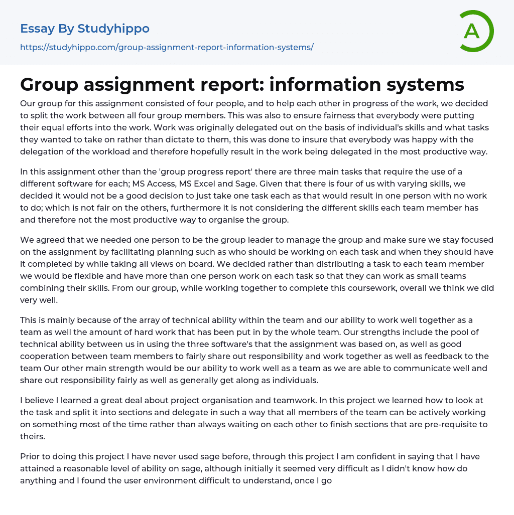 Group assignment report: information systems Essay Example