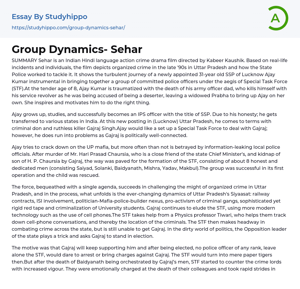 Group Dynamics- Sehar Essay Example