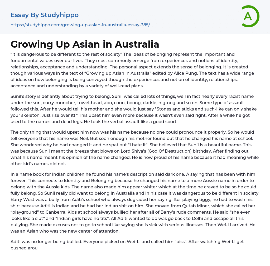 Growing Up Asian in Australia Essay Example