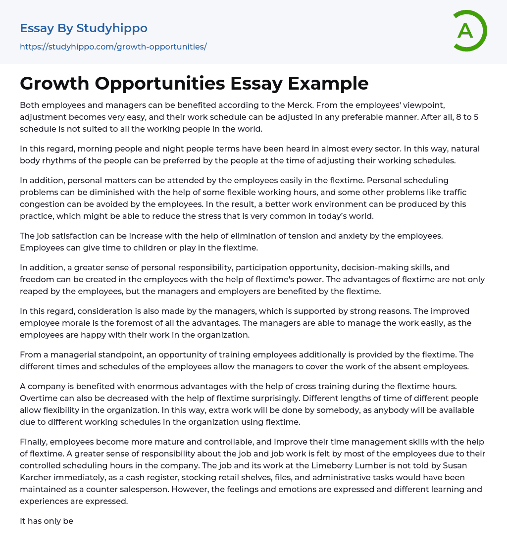 Growth Opportunities Essay Example