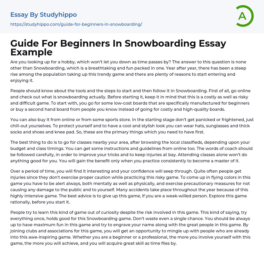 Guide For Beginners In Snowboarding Essay Example