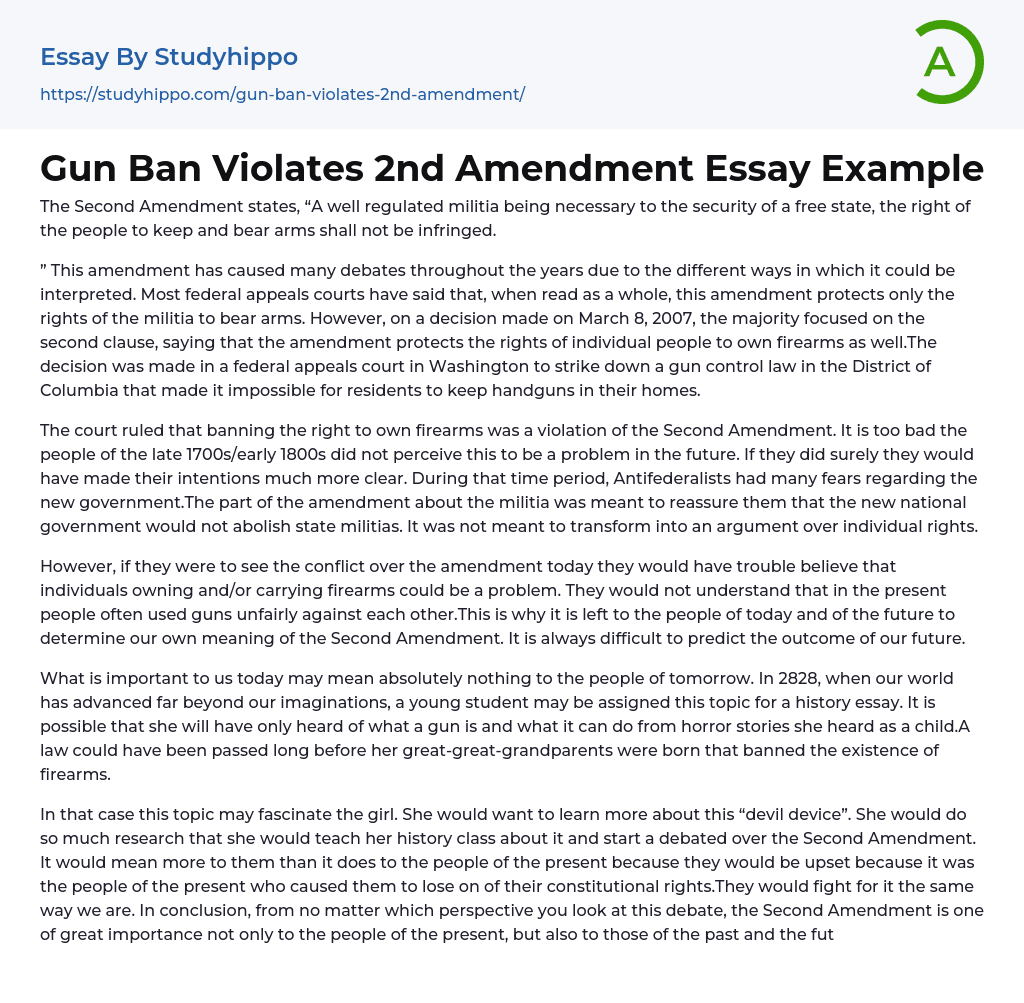 Gun Ban Violates 2nd Amendment Essay Example