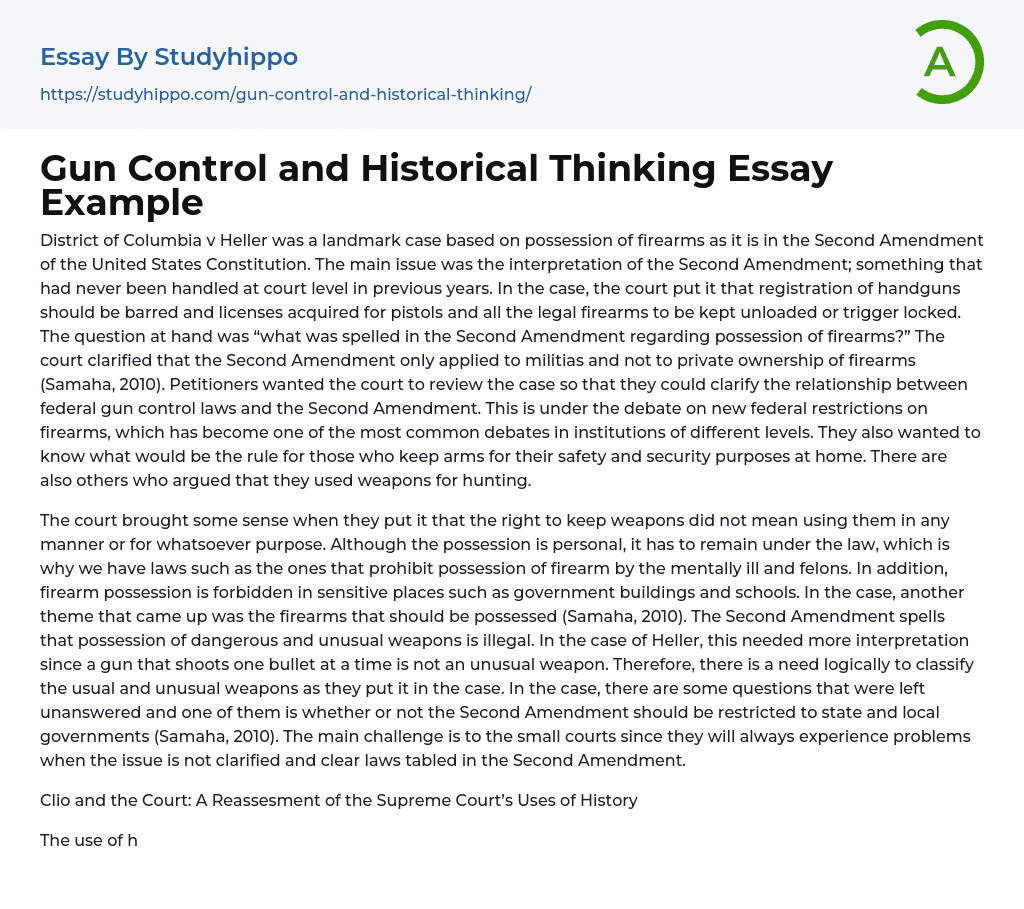 Gun Control and Historical Thinking Essay Example