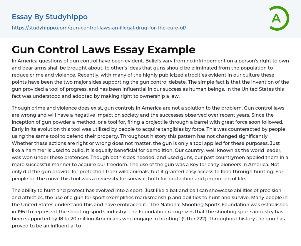 Gun Control Laws Essay Example