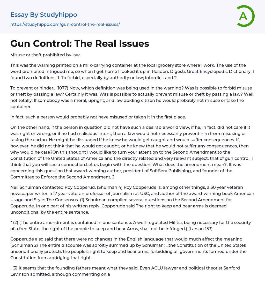 Gun Control: The Real Issues Essay Example