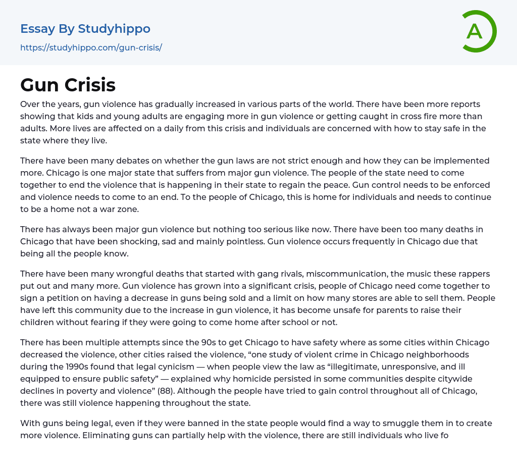 Gun Crisis Essay Example
