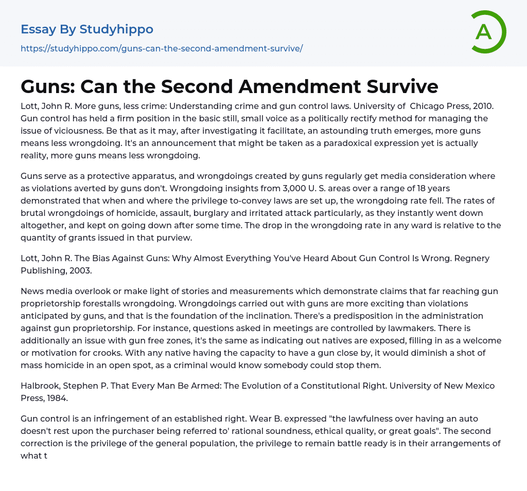 Guns: Can the Second Amendment Survive Essay Example