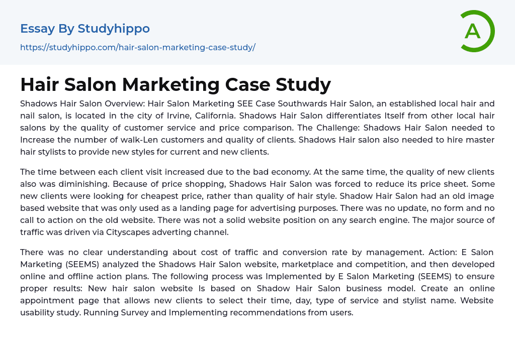 Hair Salon Marketing Case Study Essay Example
