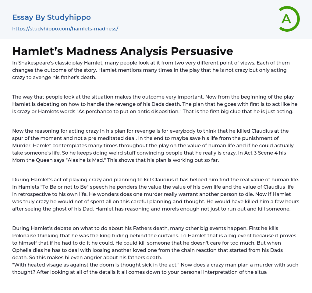 Hamlet’s Madness Analysis Persuasive Essay Example