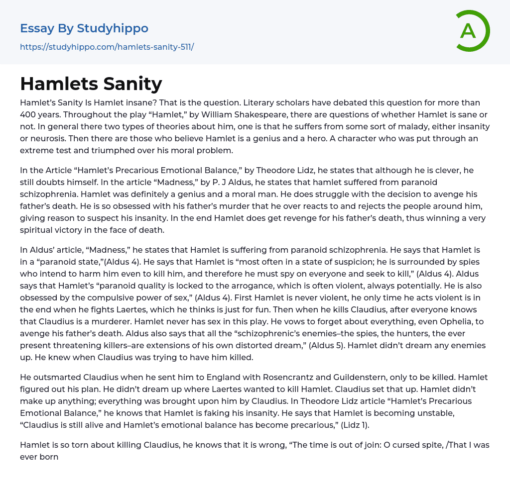 Hamlets Sanity Essay Example