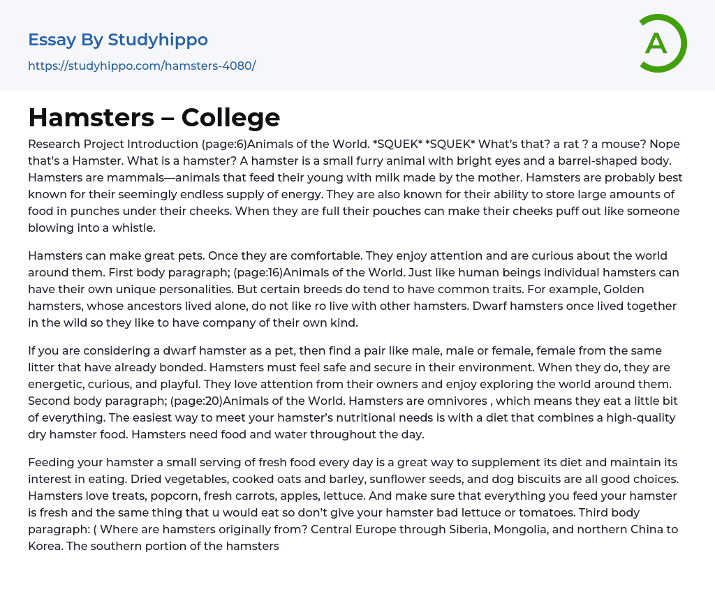 Hamsters – College Essay Example