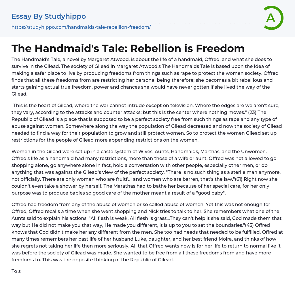 The Handmaid’s Tale: Rebellion is Freedom Essay Example