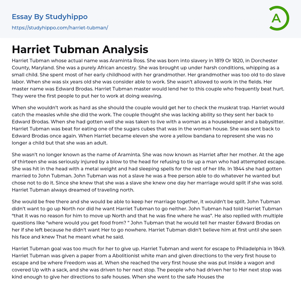 Harriet Tubman Analysis Essay Example