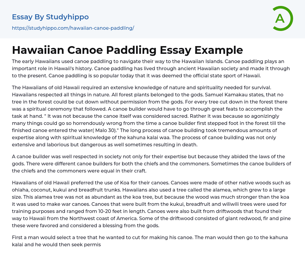Hawaiian Canoe Paddling Essay Example
