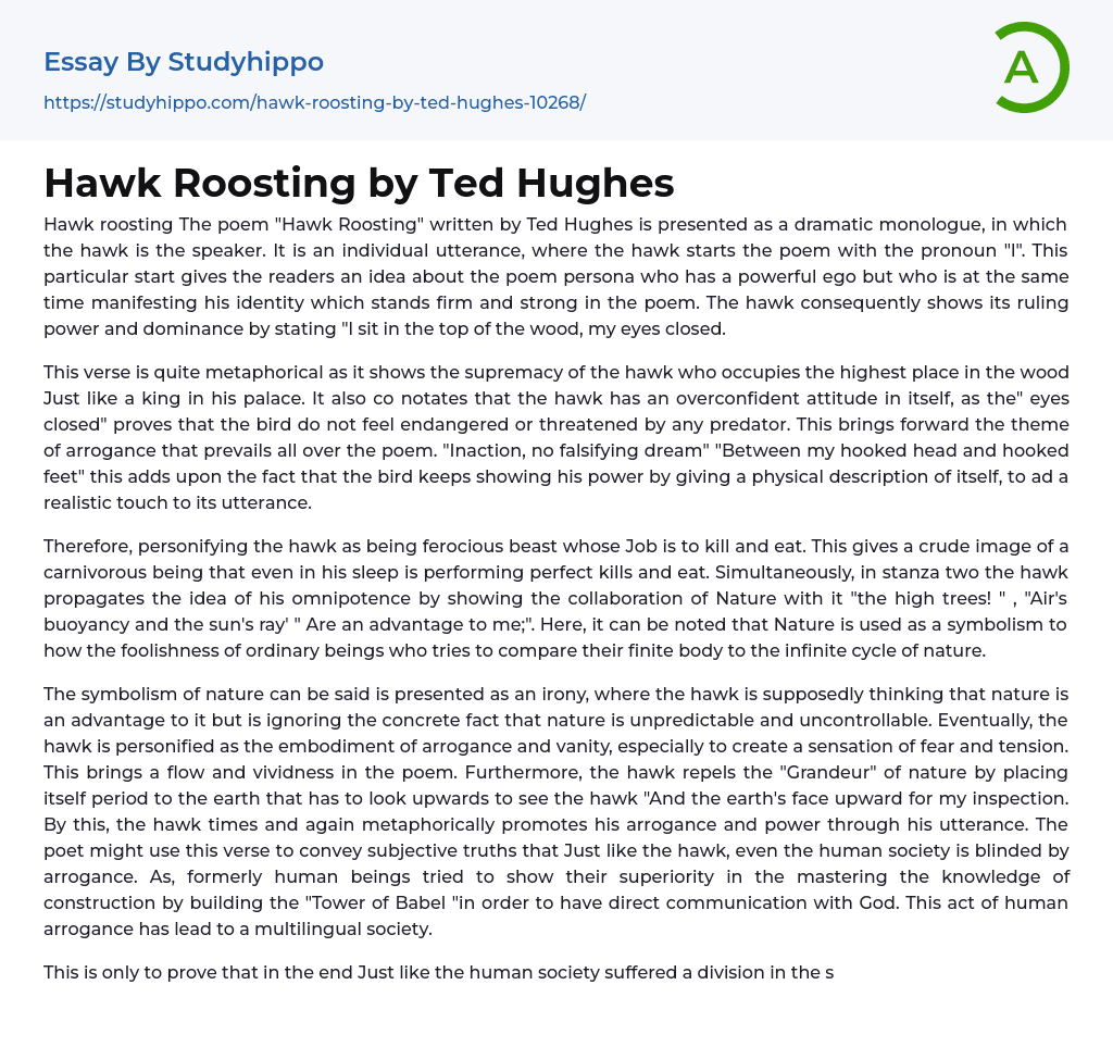 Hawk Roosting by Ted Hughes Essay Example