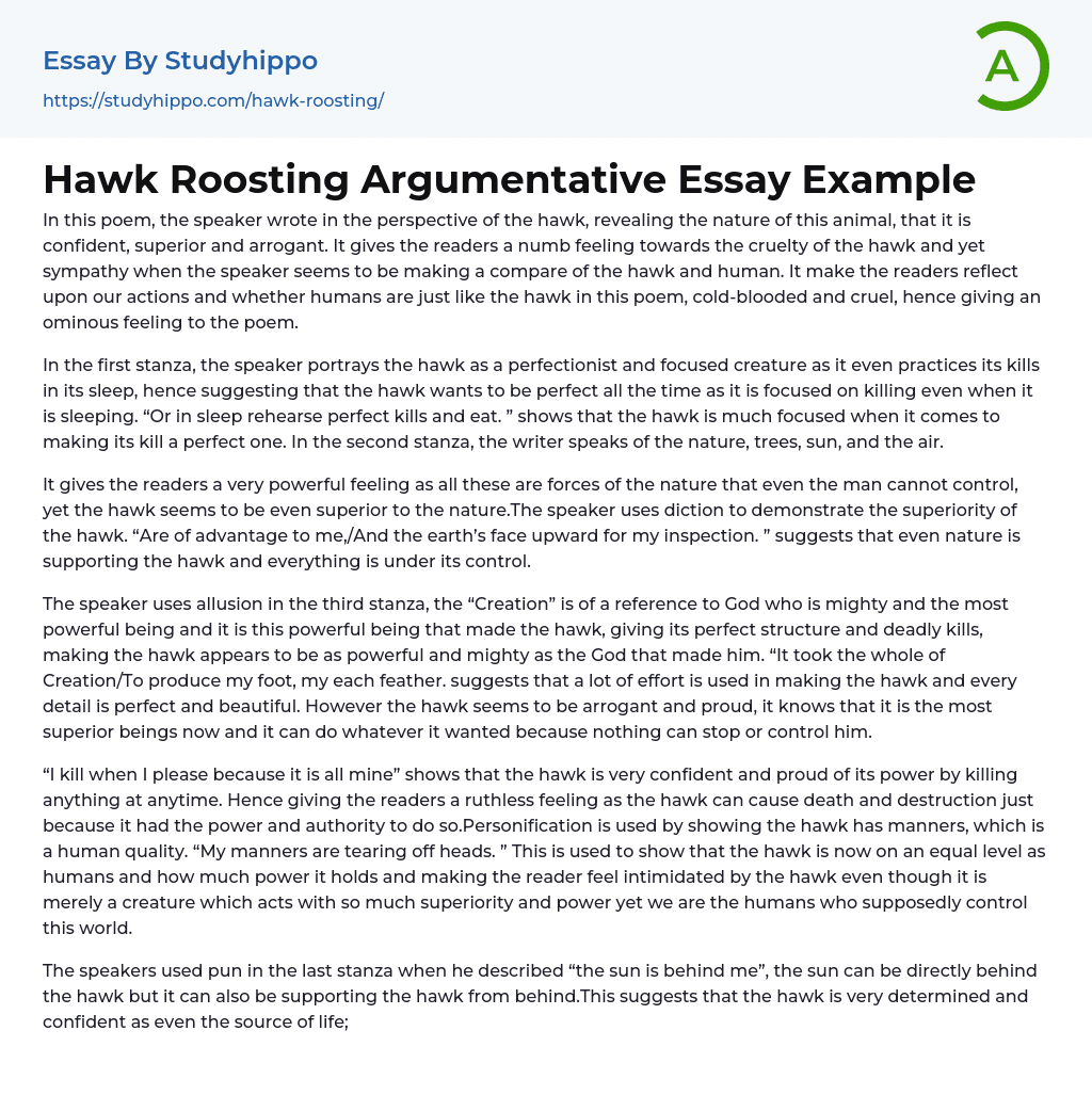 Hawk Roosting Argumentative Essay Example
