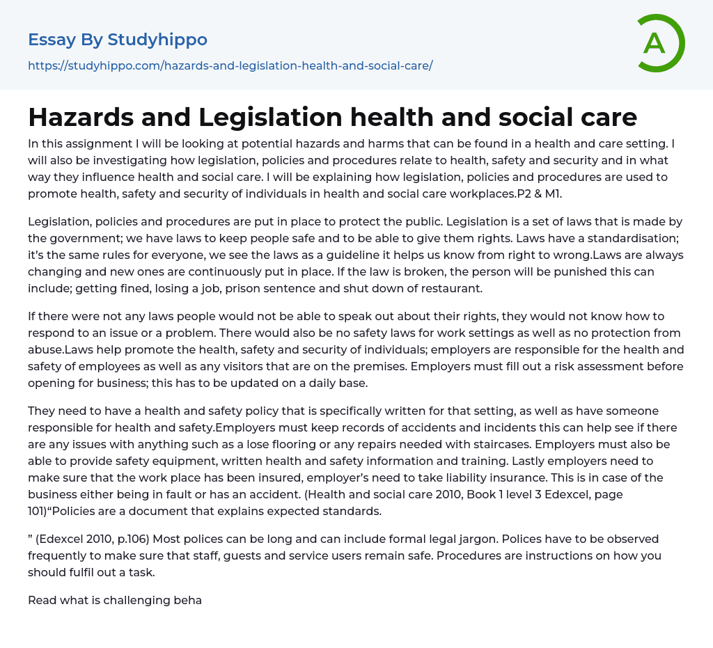 Hazards and Legislation health and social care Essay Example