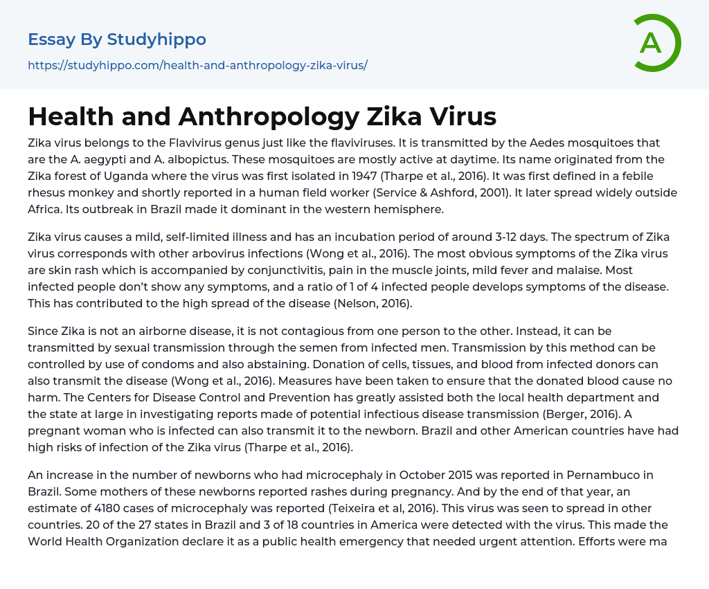 Health and Anthropology Zika Virus Essay Example