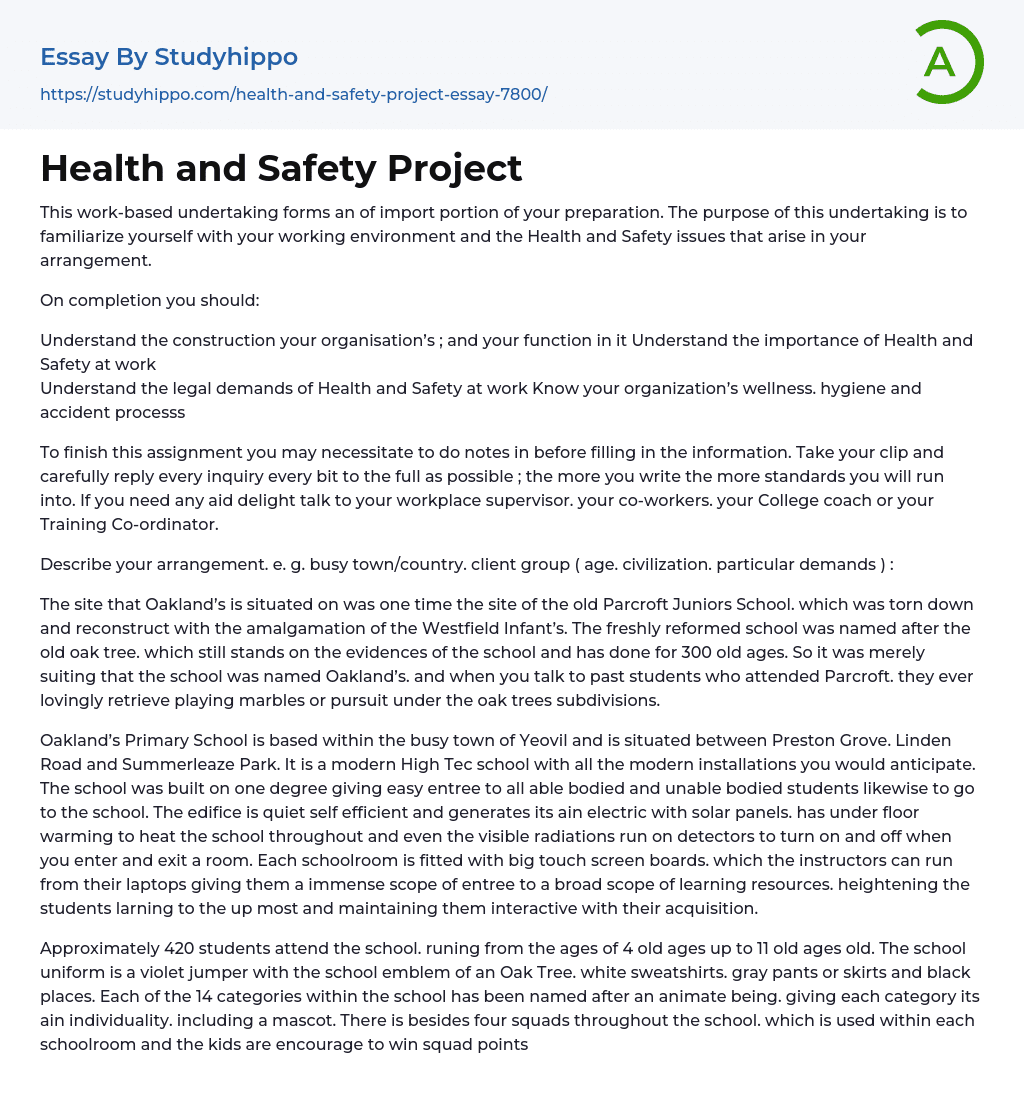 Health and Safety Project Essay Example