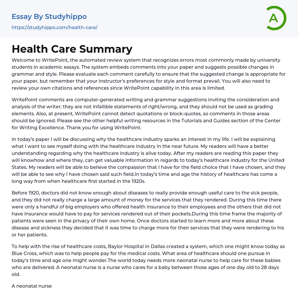 Health Care Summary Essay Example