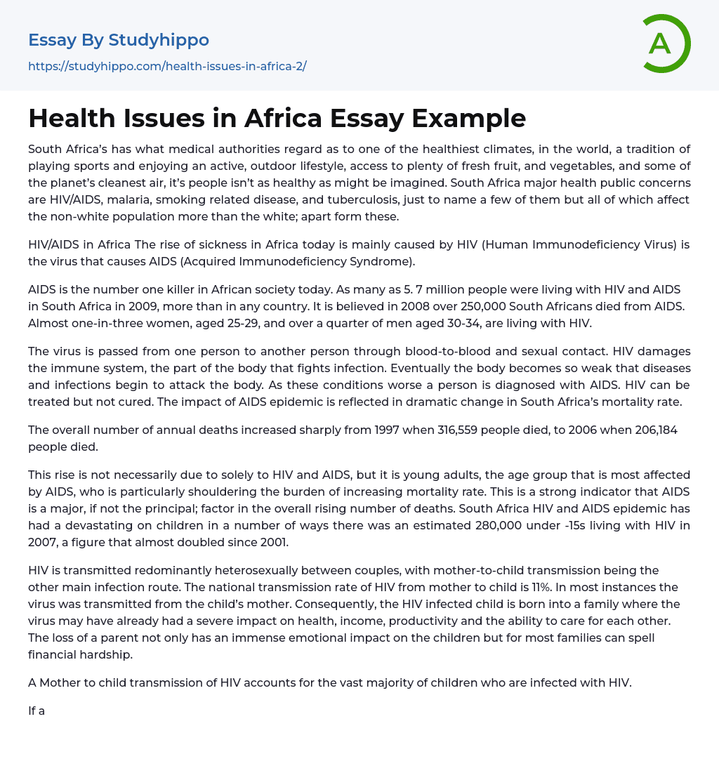 Health Issues in Africa Essay Example