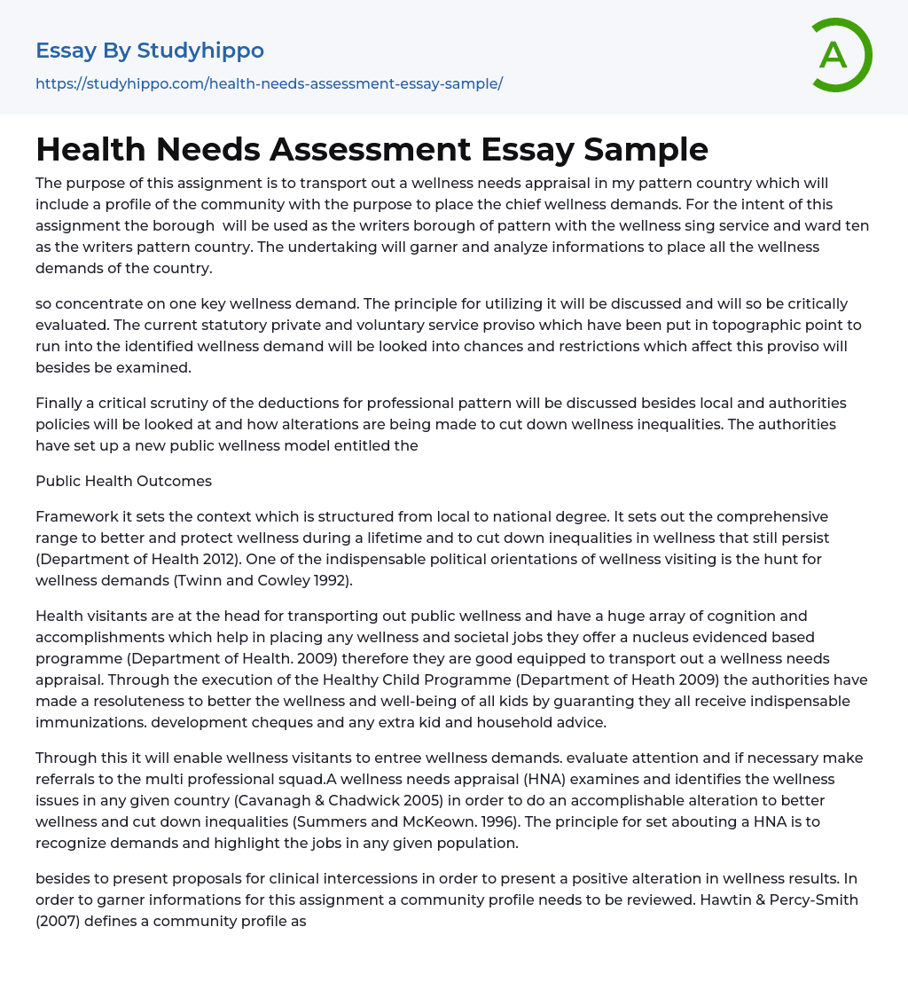 Health Needs Assessment Essay Sample