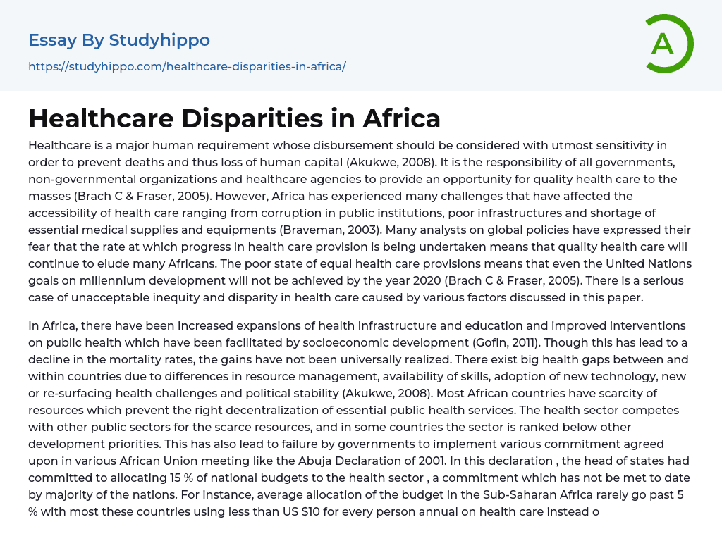 Healthcare Disparities in Africa Essay Example