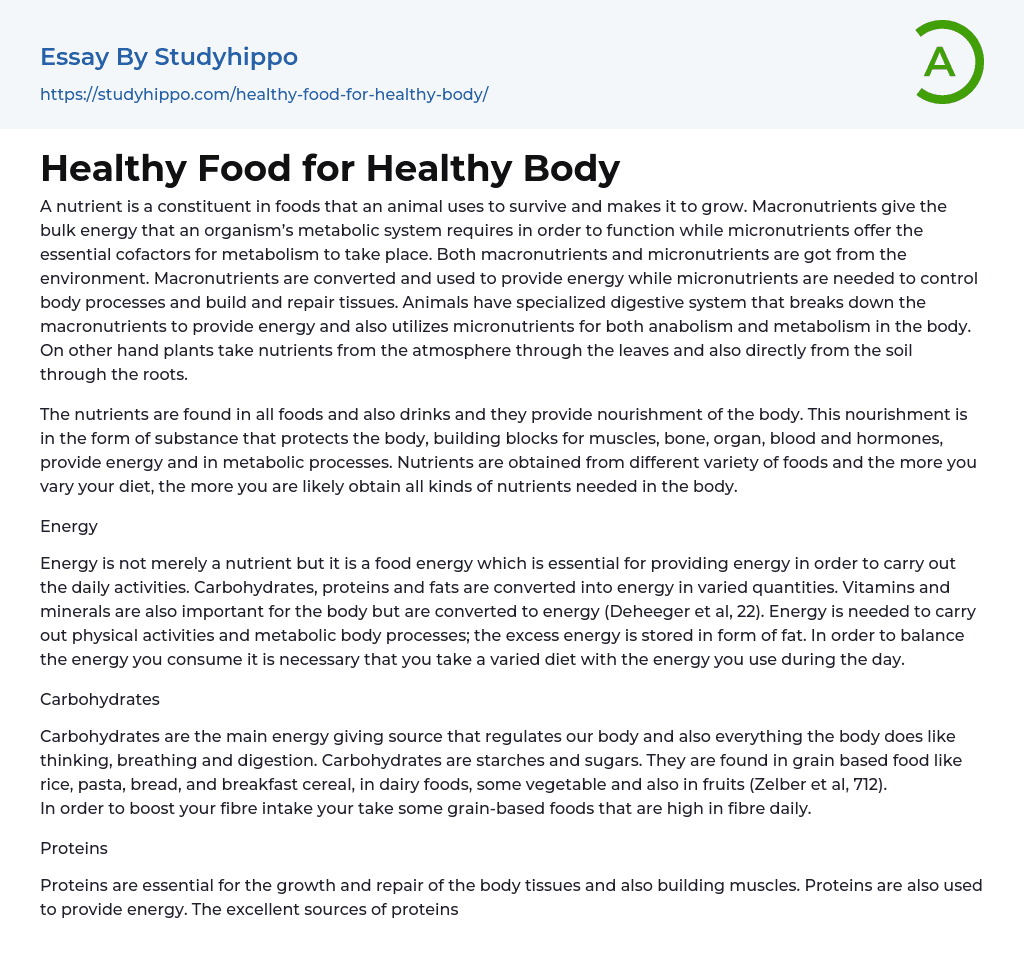 Healthy Food for Healthy Body Essay Example