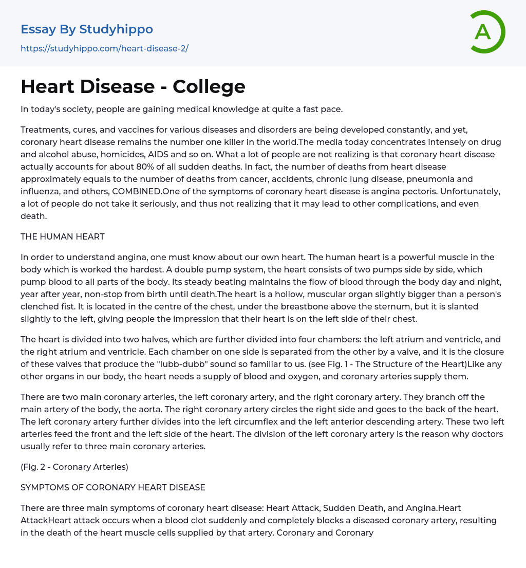 Heart Disease – College Essay Example