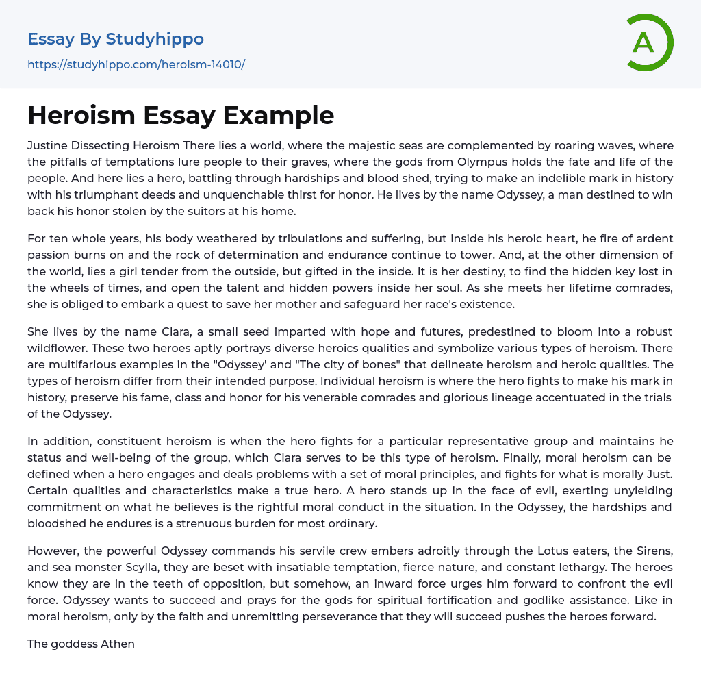 Heroism Essay Example