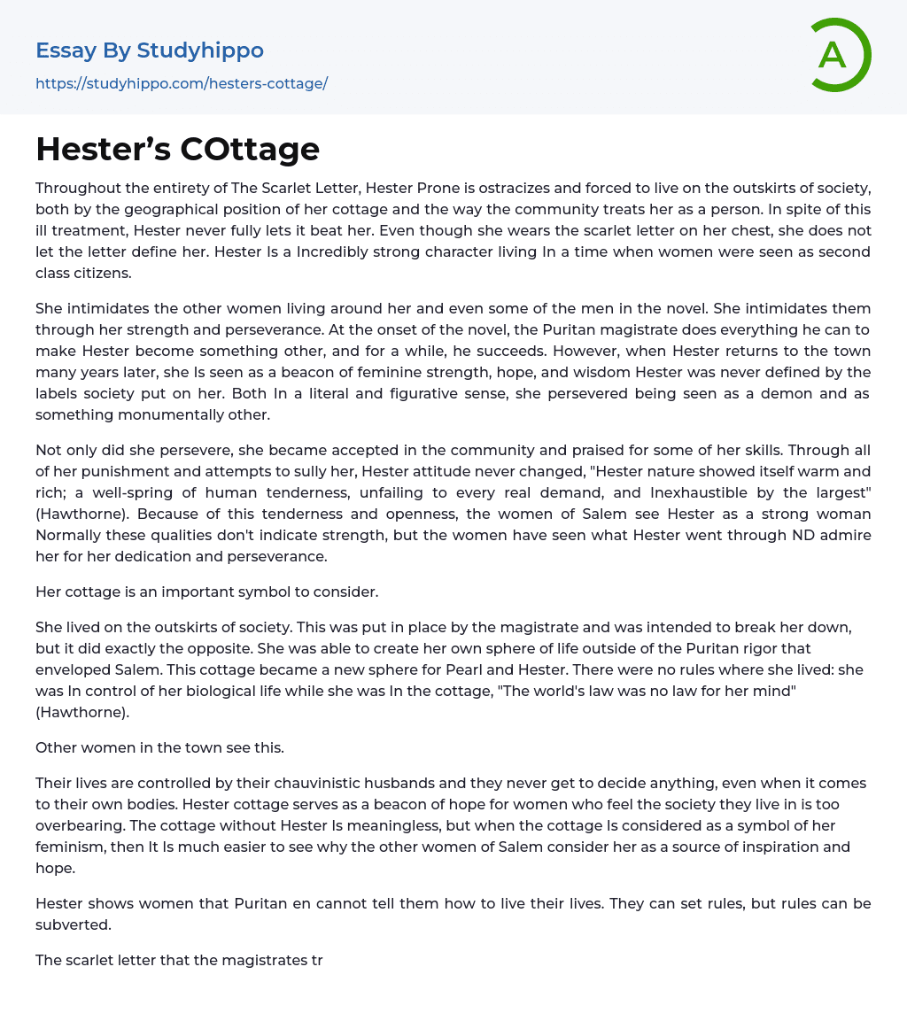 Hester’s COttage Essay Example