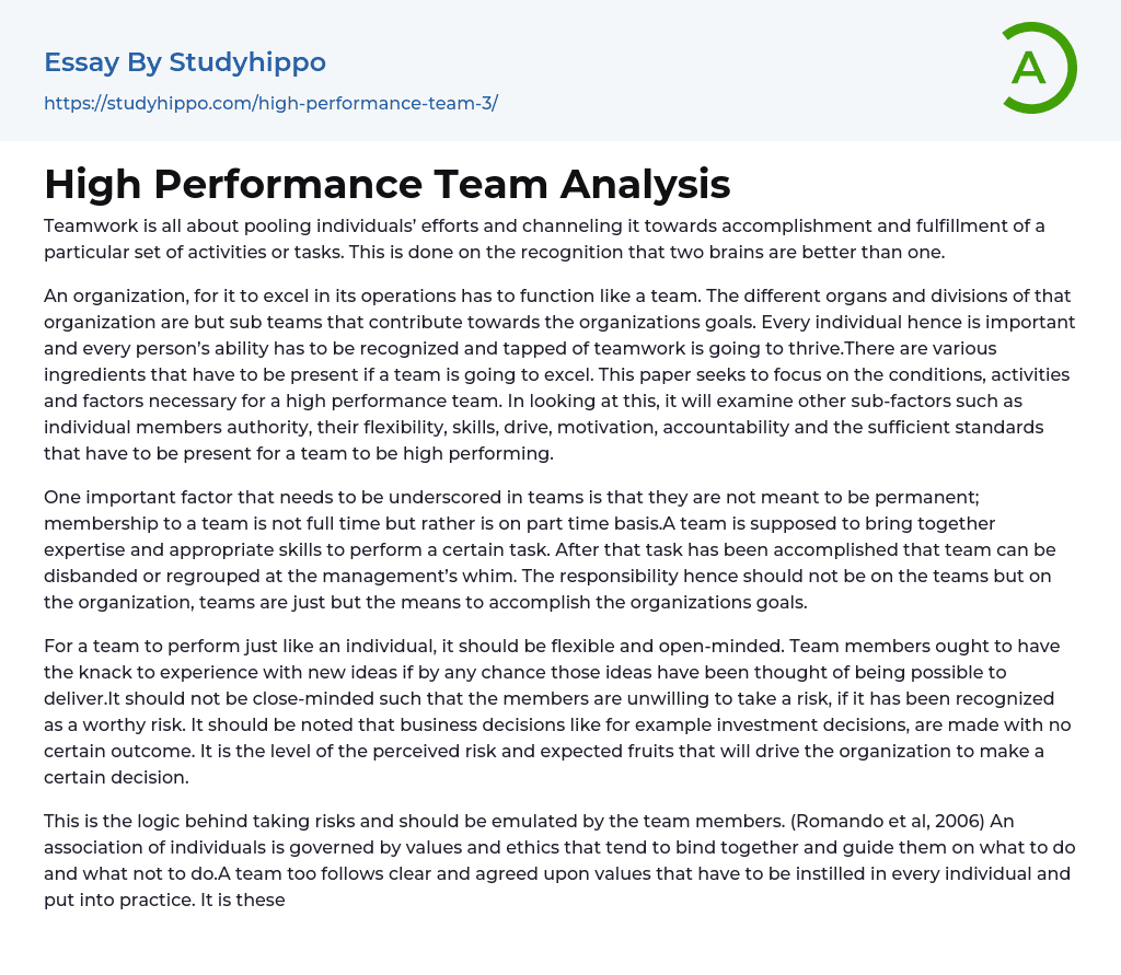High Performance Team Analysis Essay Example