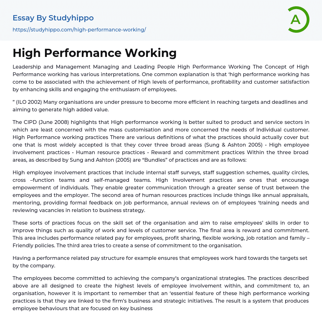 High Performance Working Essay Example