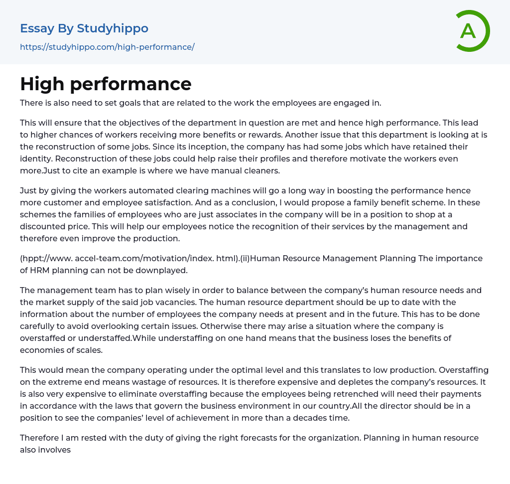 High performance Essay Example