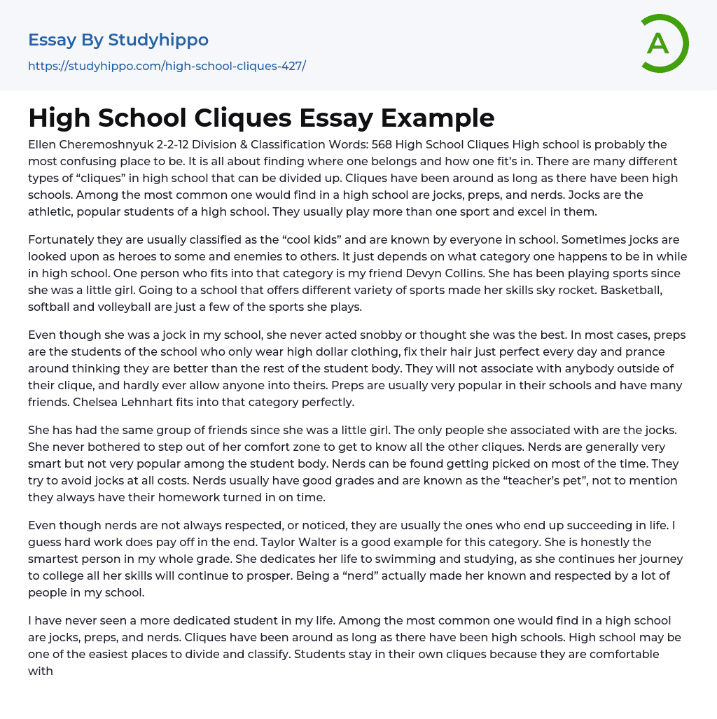 Teenage Years: High School Cliques Essay Example