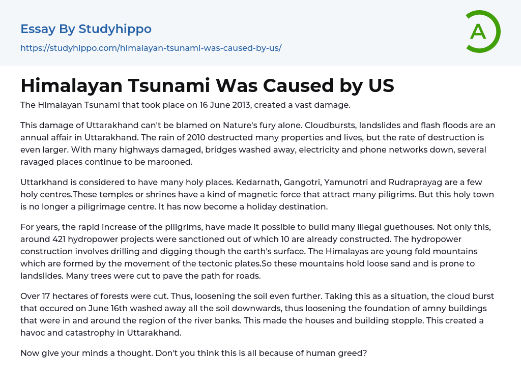 Himalayan Tsunami Was Caused by US Essay Example