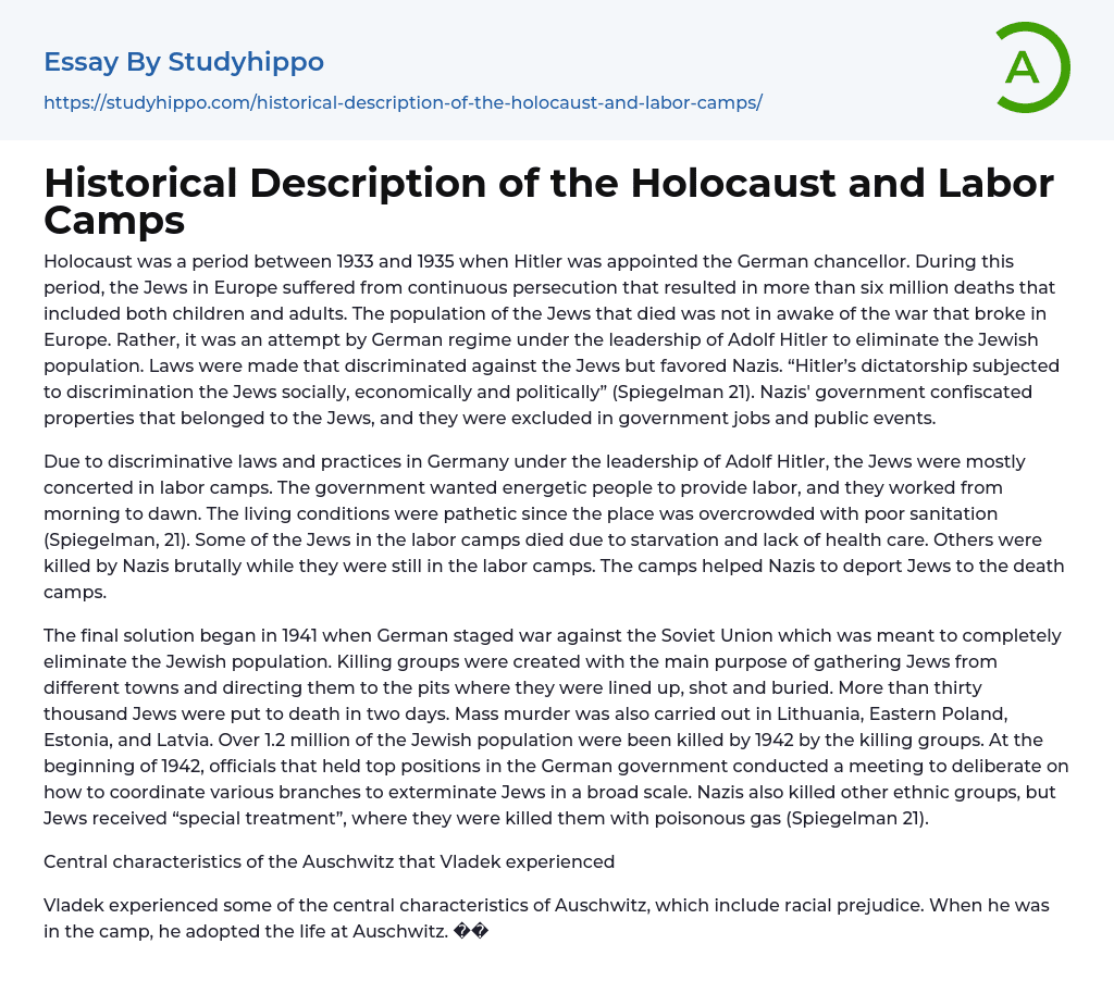 Historical Description of the Holocaust and Labor Camps Essay Example