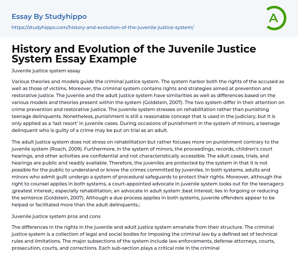 History and Evolution of the Juvenile Justice System Essay Example