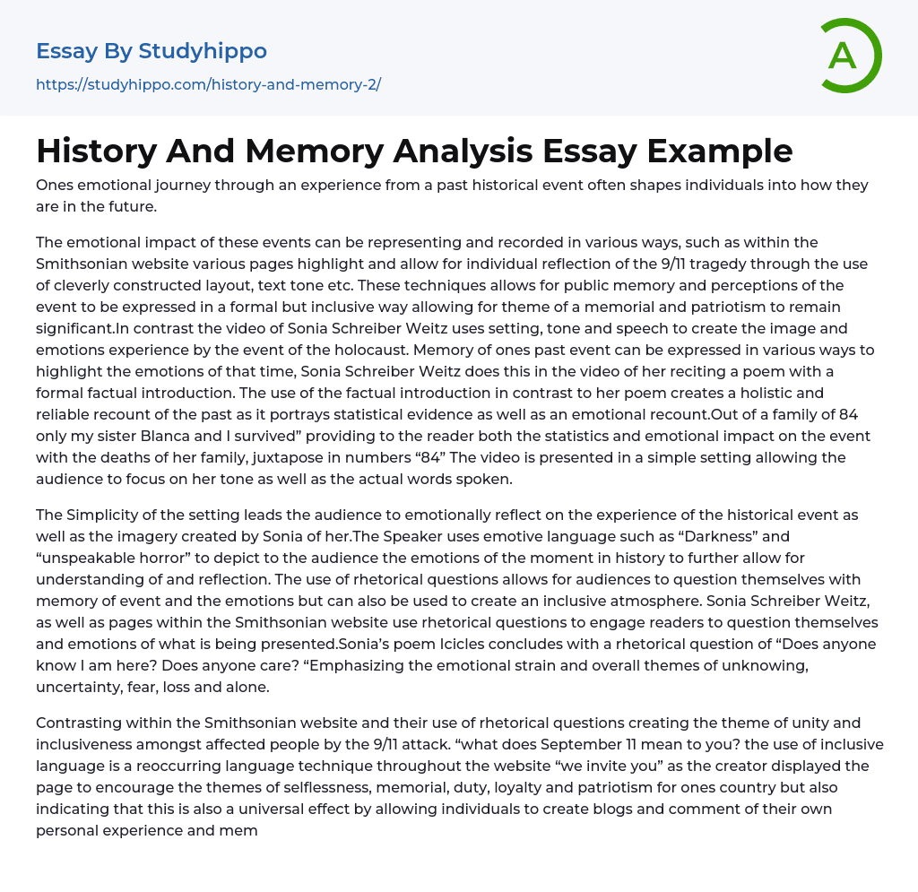 History And Memory Analysis Essay Example