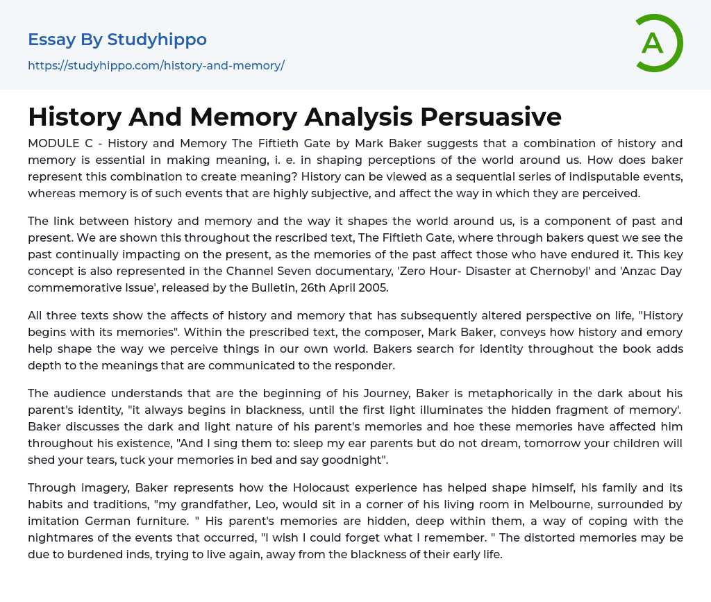 History And Memory Analysis Persuasive Essay Example