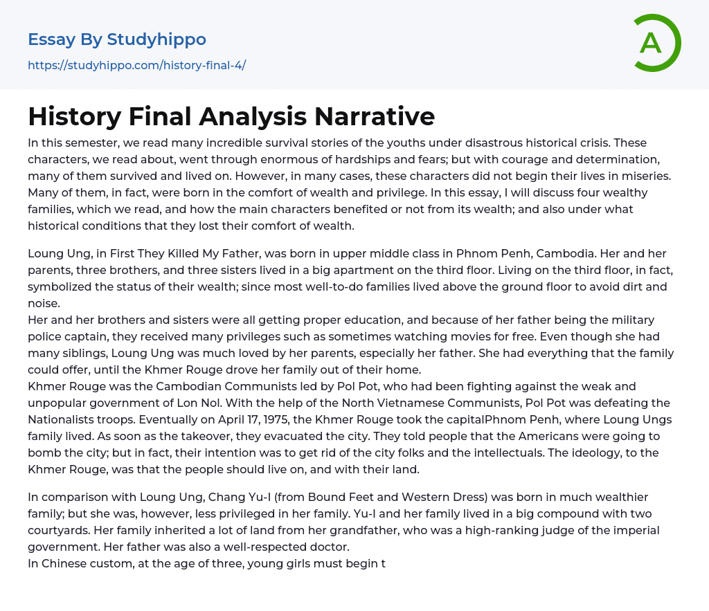 History Final Analysis Narrative Essay Example