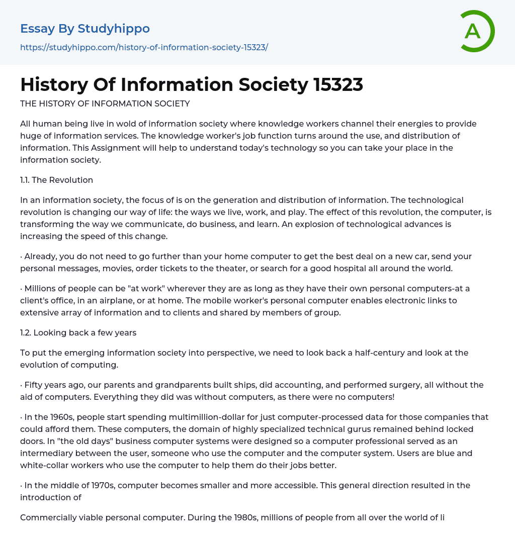 History Of Information Society Essay Example