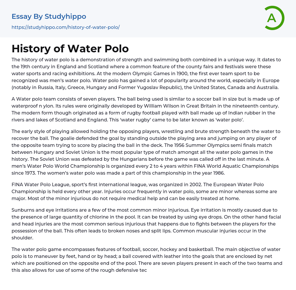 History of Water Polo Essay Example